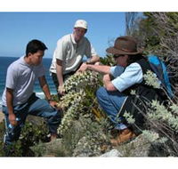 Sapphire Coast Ecotours - Accommodation Daintree