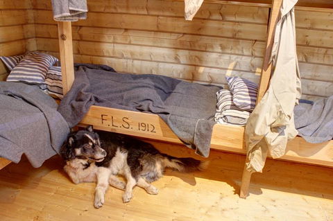 Mawson's Huts Replica Museum - Accommodation Daintree 7