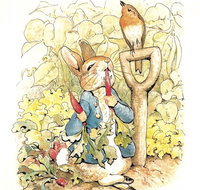 Mount Isa Civic Centre - Accommodation Daintree