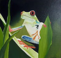 Toukley District Arts Society  Information Centre - Accommodation Daintree