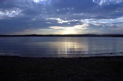 Gilgandra NSW Accommodation Daintree