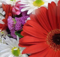 Marysworldart Bali Imports - Accommodation Daintree