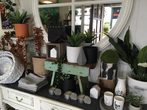 DBar Gallery - Accommodation Daintree 2