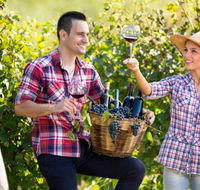 Two Tails Wines - Accommodation Daintree