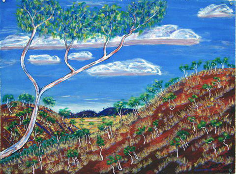 Gallery 48 - Accommodation Daintree 2