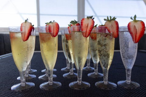 Swim With Whale Sharks- The Largest Fish In The World! - Accommodation Daintree 7