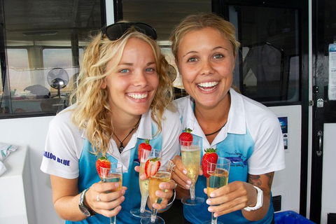 Swim With Whale Sharks- The Largest Fish In The World! - Accommodation Daintree 37