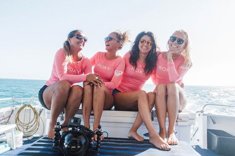 Swim With Whale Sharks- The Largest Fish In The World! - Accommodation Daintree 15