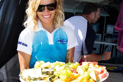 Swim With Whale Sharks- The Largest Fish In The World! - Accommodation Daintree 8