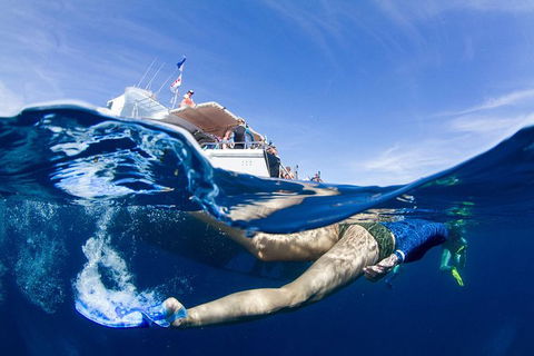 VIP Luxury Chartered Escapes, Exploring The Reef At Your Own Pace - Accommodation Daintree 40
