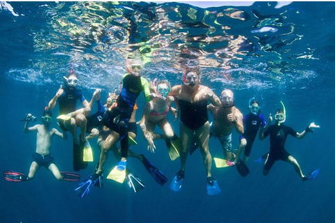 VIP Luxury Chartered Escapes, Exploring The Reef At Your Own Pace - Accommodation Daintree 13