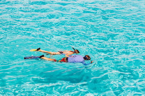 VIP Luxury Chartered Escapes, Exploring The Reef At Your Own Pace - Accommodation Daintree 29