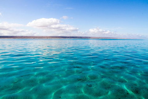VIP Luxury Chartered Escapes, Exploring The Reef At Your Own Pace - Accommodation Daintree 32