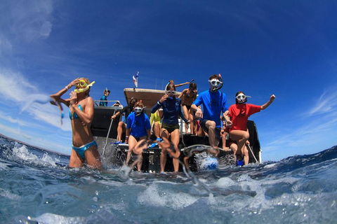 VIP Luxury Chartered Escapes, Exploring The Reef At Your Own Pace - Accommodation Daintree 17