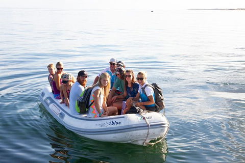 VIP Luxury Chartered Escapes, Exploring The Reef At Your Own Pace - Accommodation Daintree 43