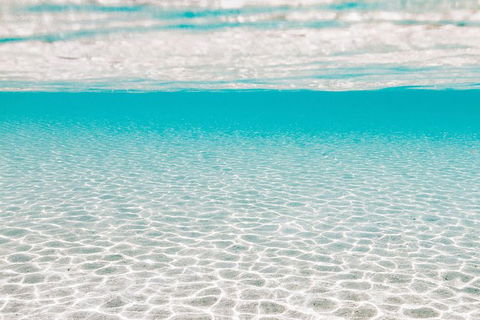 VIP Luxury Chartered Escapes, Exploring The Reef At Your Own Pace - Accommodation Daintree 44