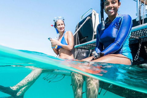 VIP Luxury Chartered Escapes, Exploring The Reef At Your Own Pace - Accommodation Daintree 24
