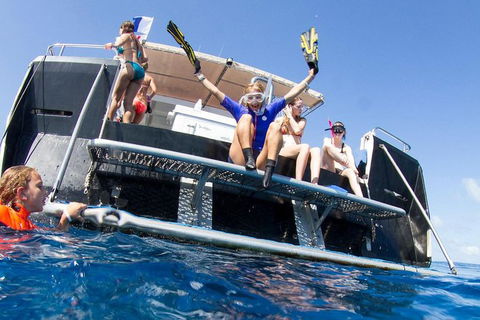 VIP Luxury Chartered Escapes, Exploring The Reef At Your Own Pace - Accommodation Daintree 25