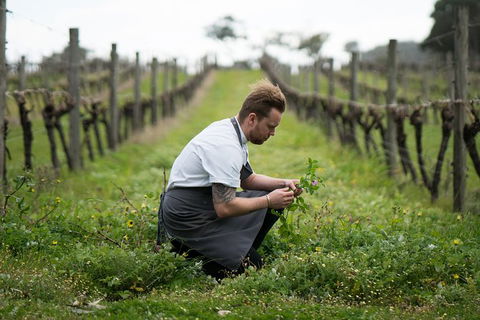 Vasse Felix Epicurean Tour And Tasting Experience With 5 Course Lunch - Accommodation Daintree 9