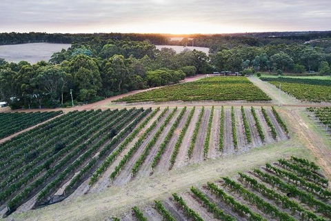 Vasse Felix Epicurean Tour And Tasting Experience With 5 Course Lunch - Accommodation Daintree 7