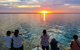 Humpback Whale Sunset Cruise - thumb 1