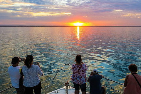 Humpback Whale Sunset Cruise - Accommodation Daintree 1