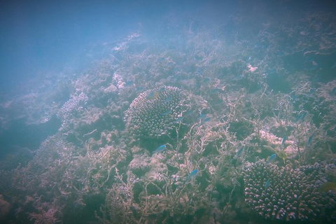 Guided Jet Ski And Snorkel Tour From Exmouth - Accommodation Daintree 1