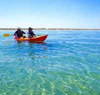 Turtle Tour - Ningaloo Reef Half Day Sea Kayak and Snorkel Tour - Accommodation Daintree