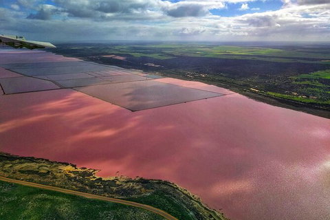 Kalbarri, Pink Lake And Abrolhos Islands Nature Tour - Accommodation Daintree 3