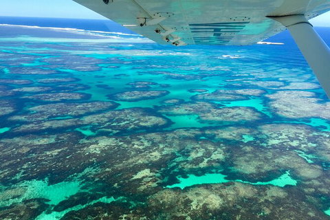 Kalbarri, Pink Lake And Abrolhos Islands Nature Tour - Accommodation Daintree 5