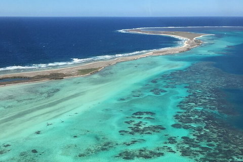 Kalbarri, Pink Lake And Abrolhos Islands Nature Tour - Accommodation Daintree 2