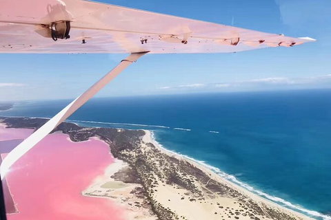 Kalbarri, Pink Lake And Abrolhos Islands Nature Tour - Accommodation Daintree 4