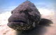 Scuba Dive Ningaloo Reef - thumb 1