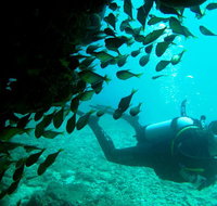 Scuba Dive Ningaloo Reef - Accommodation Daintree