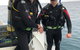Scuba Dive Ningaloo Reef - thumb 8