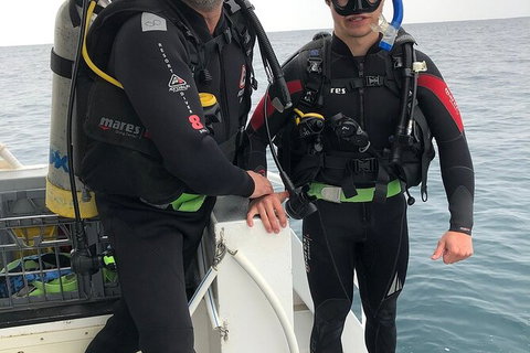 Scuba Dive Ningaloo Reef - Accommodation Daintree 8