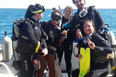 Scuba Dive Ningaloo Reef - Accommodation Daintree 3