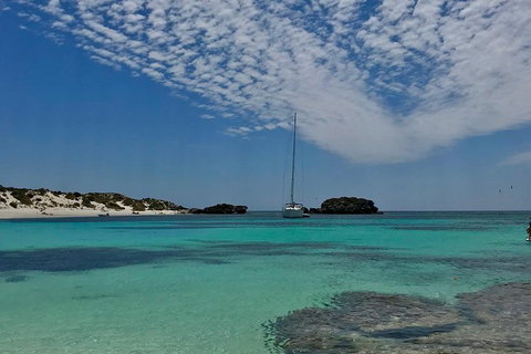 Rottnest Island Sailing Day Trip From Fremantle - Accommodation Daintree 6
