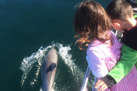 Rottnest Island Sailing Day Trip From Fremantle - Accommodation Daintree 7