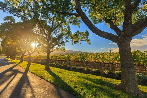 VIP Swan Valley Wine Tour - Premium Small Group Wine & Gourmet Experience - Accommodation Daintree 1