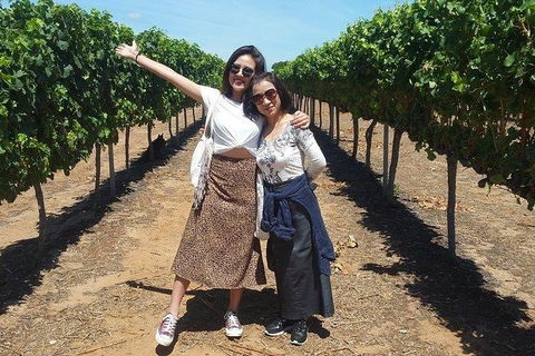 VIP Swan Valley Wine Tour - Premium Small Group Wine & Gourmet Experience - Accommodation Daintree 3