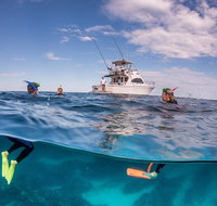 Exclusive Ningaloo Adventure Charter from Exmouth - Accommodation Daintree