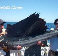Montebello Island Fishing Charters - Accommodation Daintree