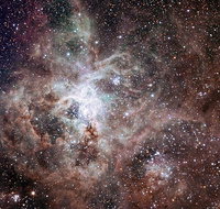 Overnight Astronomy Experience Ningaloo - Yardie Homestead - Accommodation Daintree