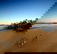 Phillip Island Ultimate Penguin Eco Tour or Skybox Experience - Accommodation Daintree