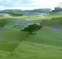 Day Tour of Phillip Island  Surrounding Region - Accommodation Daintree
