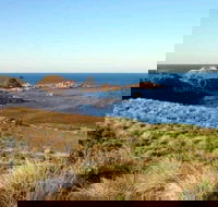 Phillip Island Walking  Bird Watching Tour - Accommodation Daintree