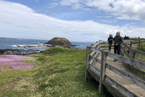 Phillip Island Tour Including Phillip Island Penguin Parade - Accommodation Daintree 10