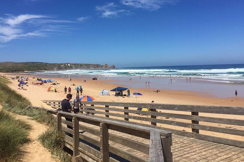 Phillip Island Tour Including Phillip Island Penguin Parade - Accommodation Daintree 2