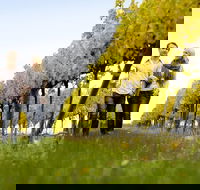 Overnight Daylesford and Macedon Ranges Gourmet Food Trail Tour from Melbourne - Accommodation Daintree